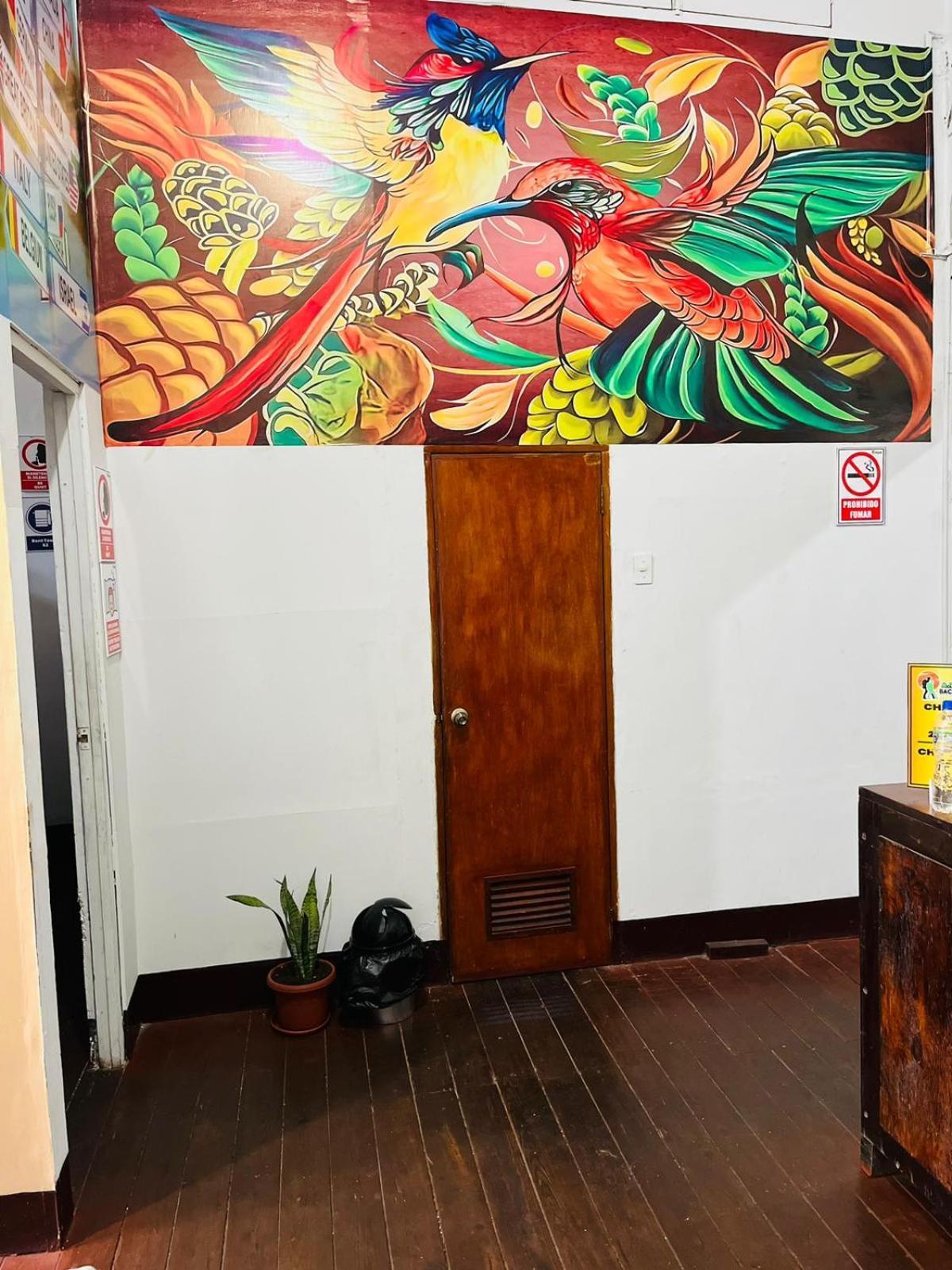 A&T Amazon Backpacker'S Bed and Breakfast Iquitos Buitenkant foto
